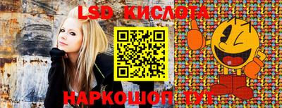 шишки Новокубанск