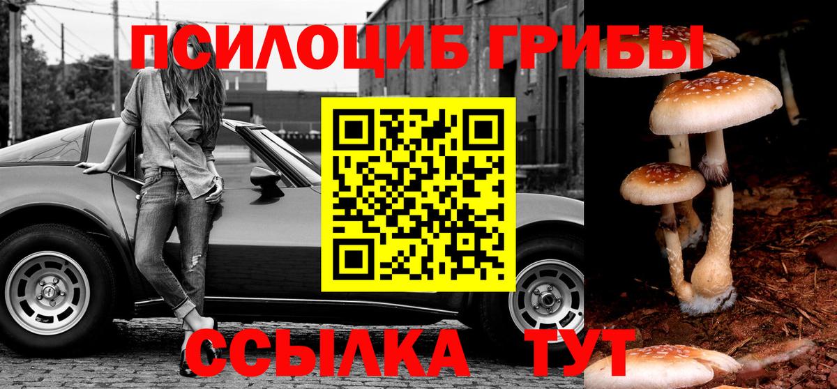 Псилоцибиновые грибы GOLDEN TEACHER  Вход с VPN  Саяногорск  Псилоцибиновые грибы Psilocybine cubensis 