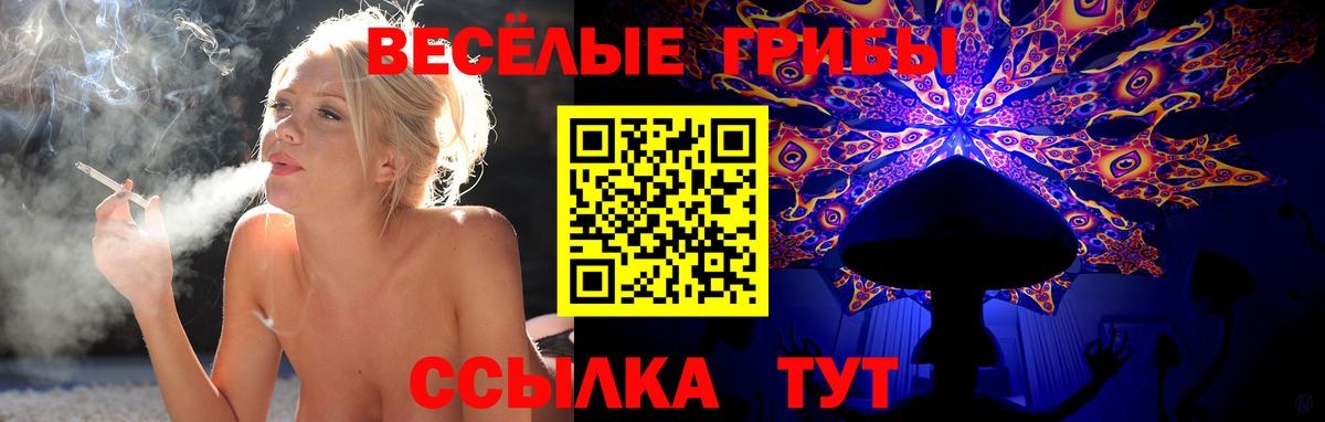 Галлюциногенные грибы прущие грибы Саяногорск
